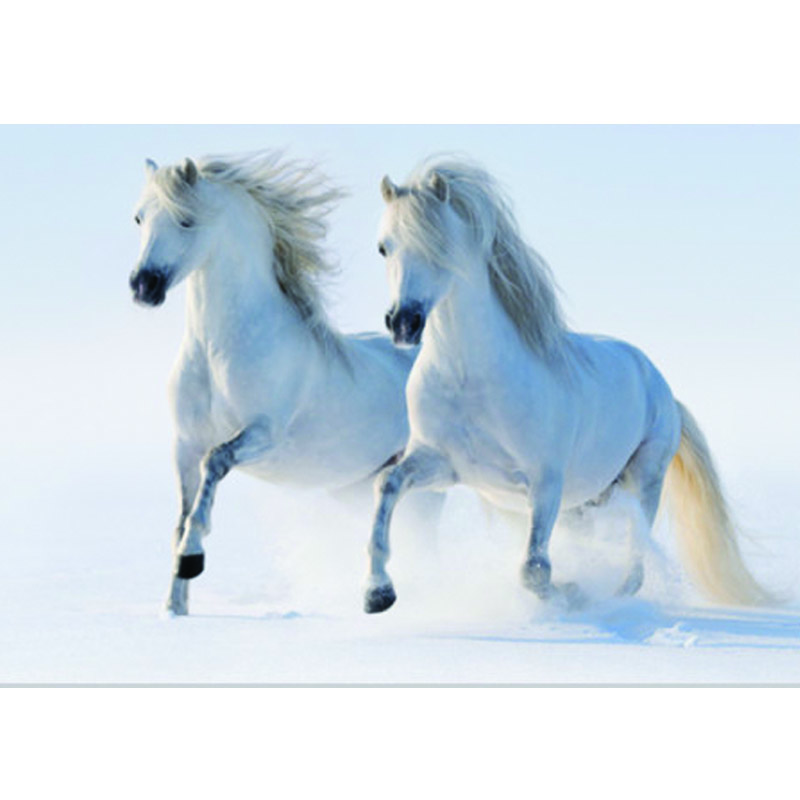Ταπετσαρία με Ζώα Άσπρα άλογα